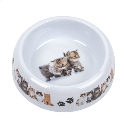 Miska dla kotów Cats, biały