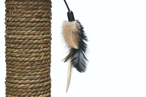 Beeztees Scărpinător Rofra, 30 x 30 x 49 cm