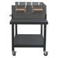 Cattara faszenes grill FIESTA, 95 x 60 cm