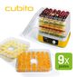 Concept SO-1070 Cubito sušička ovocia