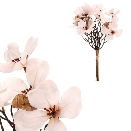 Magnolia biała, 6 gałązek w pęku, 30 x 43 cm