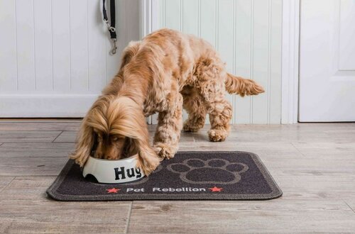 PET REBELLION Dinner Mate Jet black Szőnyeg a tálalá, 40 x 60 cm