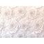 Fototapeta XXL Wall of roses 360 x 254 cm, 8 darab