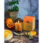 Organická vykuřovací svíčka Mandarin & Bay Leaf 200 g ve skle se zlatou fólií