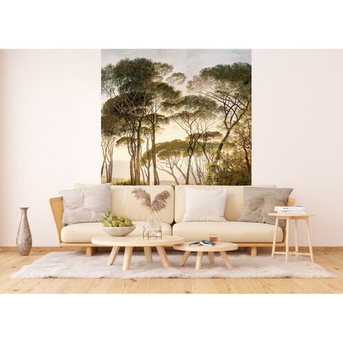 Fotó tapéta Old Trees 180 x 255 cm, 2 részek