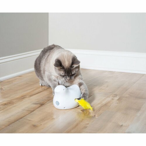 PetSafe® Peek-a-Bird™ Avtomatska igrača za mačke