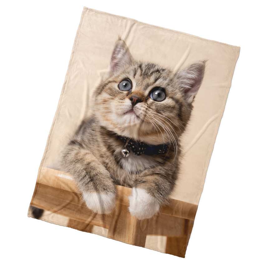 BedTex Koc dziecięcy Kotek Dzwoneczek, 150 x 200 cm