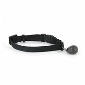 PetSafe® Staywell mágneses nyakörvkulcs