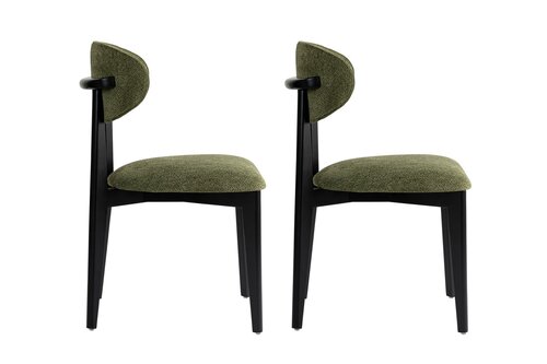 Esszimmerstuhl-Set Lionte Green and Black, 2 Stück