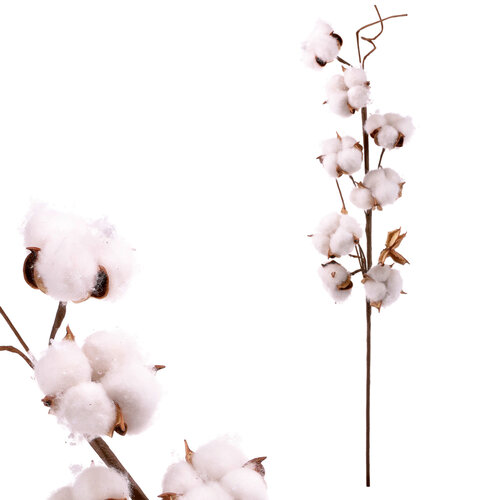Crenguță decorativă floare de bumbac, 70 cm
