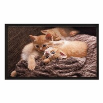 Covoraș Cats, 40 x 60 cm Covoraș Cats, 40 x 60 cm