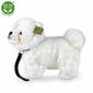 Rappa Plush Chow Chow, 27 cm EKOLOŠKO PRIJAZNO