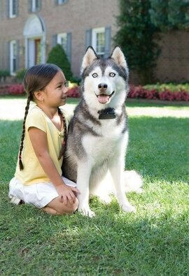 PetSafe® Extra obojok pre psov pre elektrický ohradník Super