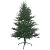 Vánoční stromek Smrk sivý, 120 cm