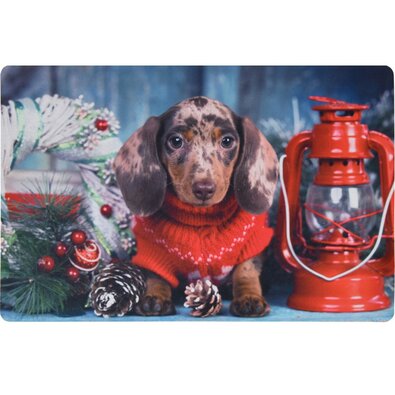 Wycieraczka świąteczna Lucerna, 38 x 58 cm