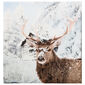 Deka Home & styling Deer snow, 140 x 160 cm