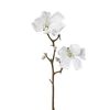 Umetna zasnežena magnolija bela, 49 cm