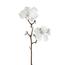 Umetna zasnežena magnolija bela, 49 cm