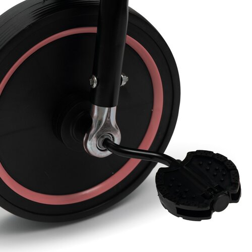 Baby Mix Rowerek trójkołowy dla dzieci Peony EVA, różowy