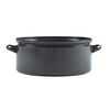 Sfinx emajlirana ponev Gastro, 32 cm, 10 l