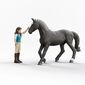 Schleich 42712 Lisa a Storm