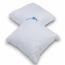 Kvalitex Vzglavnik Aloe Vera z zadrgo 300 g, 40 x40 cm