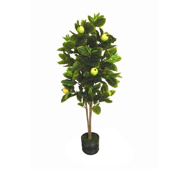 Strom guave, 165 cm, Autronic