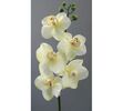 Umelá kvetina orchidea vetvička biela 6 ks