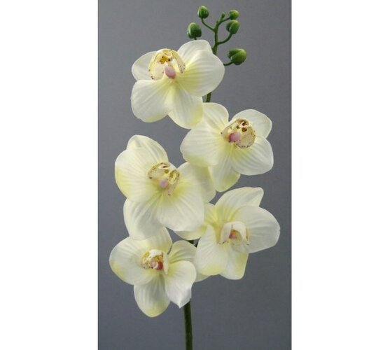 Umělá květina orchidej větvička bílá 6 ks