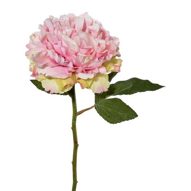 Piwonia sztuczna, jasnoróżowy, 39 cm