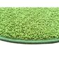 Kusový koberec Color shaggy zelená, 120 cm