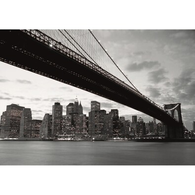 Fototapeta New York 360 x 253 cm