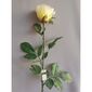 Sztuczna róża, biały, 69 cm