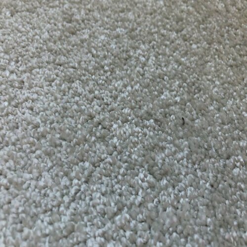 Kusový koberec Capri béžová, 80 x 120 cm
