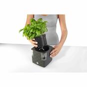 Flower Lover Šikovný kvetináč na bylinky Cobble biela, 14 cm