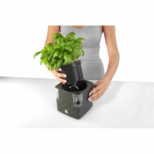 Flower Lover Pametni lonček za zelišča Cobblewhite, 14 cm