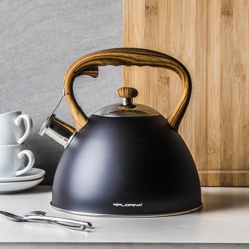 Florina Ceainic Frank, 2,5 l, negru