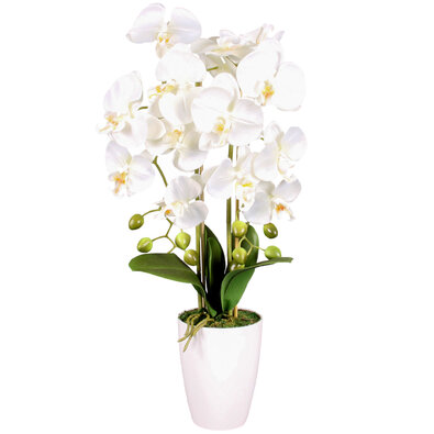 Orchidea sztuczna w doniczce biały, 14 kwiatów, 60 cm