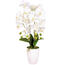 Mű orchidea virágtartóban, fehér, 14 virágos, 60 cm