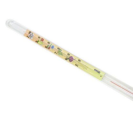 Termometer za vlaganje, 43 cm