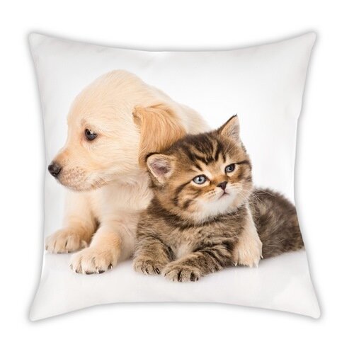 Mała poduszka Animals Dog and Cat, 40 x 40 cm