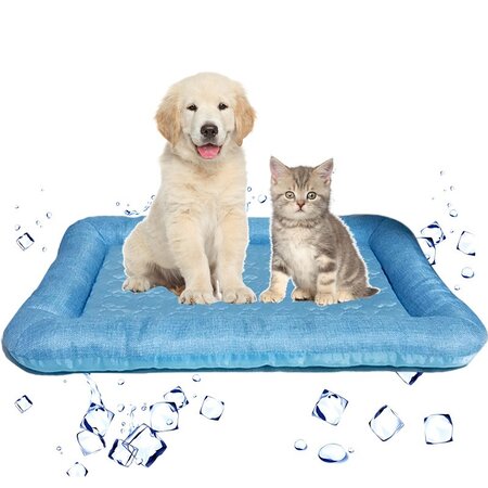 4Home Khlendes Hundebett Soft, 60 x 40 cm | 4Home - Spezialist fr Ihr  Zuhause