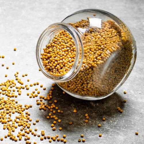 Orion Steklena posoda s pokrovom, 1,7 l