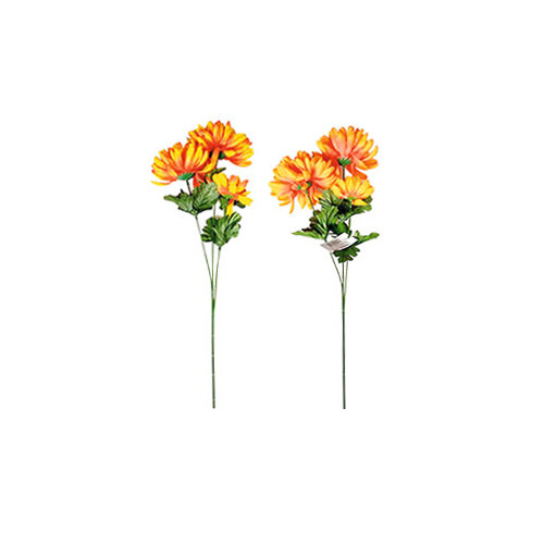 Chryzantema gałązka, 3 kwiaty, wys. 58 cm