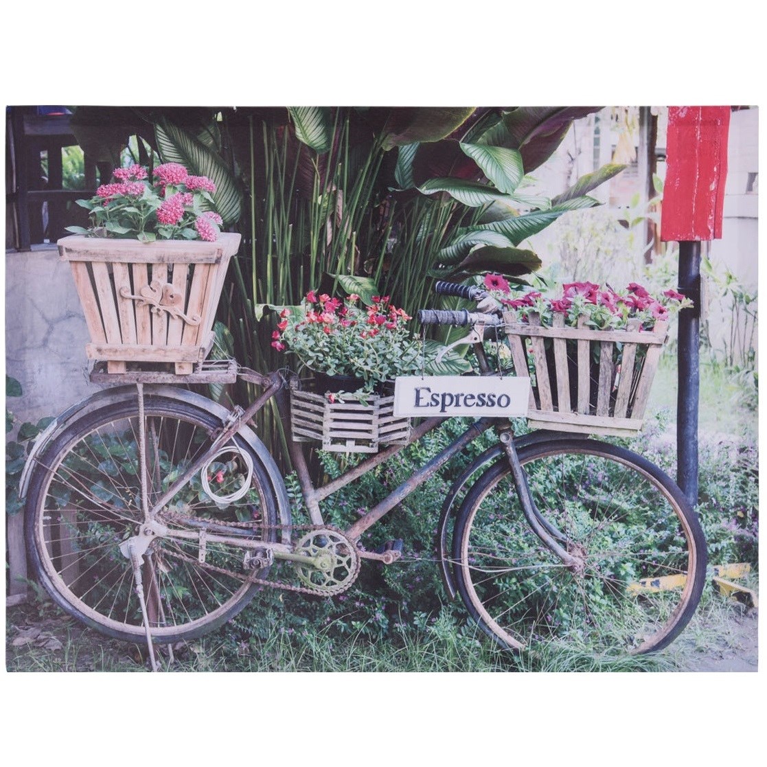 Obraz na plátne Arnhem, 74 x 58 cm