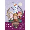 Jerry Fabrics Дитячий плед Frozen Family 03 , 100 x 150 см