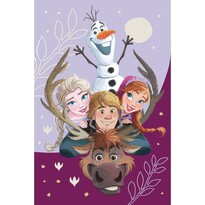 Jerry Fabrics Koc dziecięcy Frozen Family 03, 100 x 150 cm