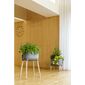 Recipient scund de cultivare Plastia Urbalive, gri
