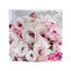 Obraz na płótnie Pink flowers