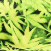 4Home Decke Soft Dreams Aromatica, 150 x 200 cm